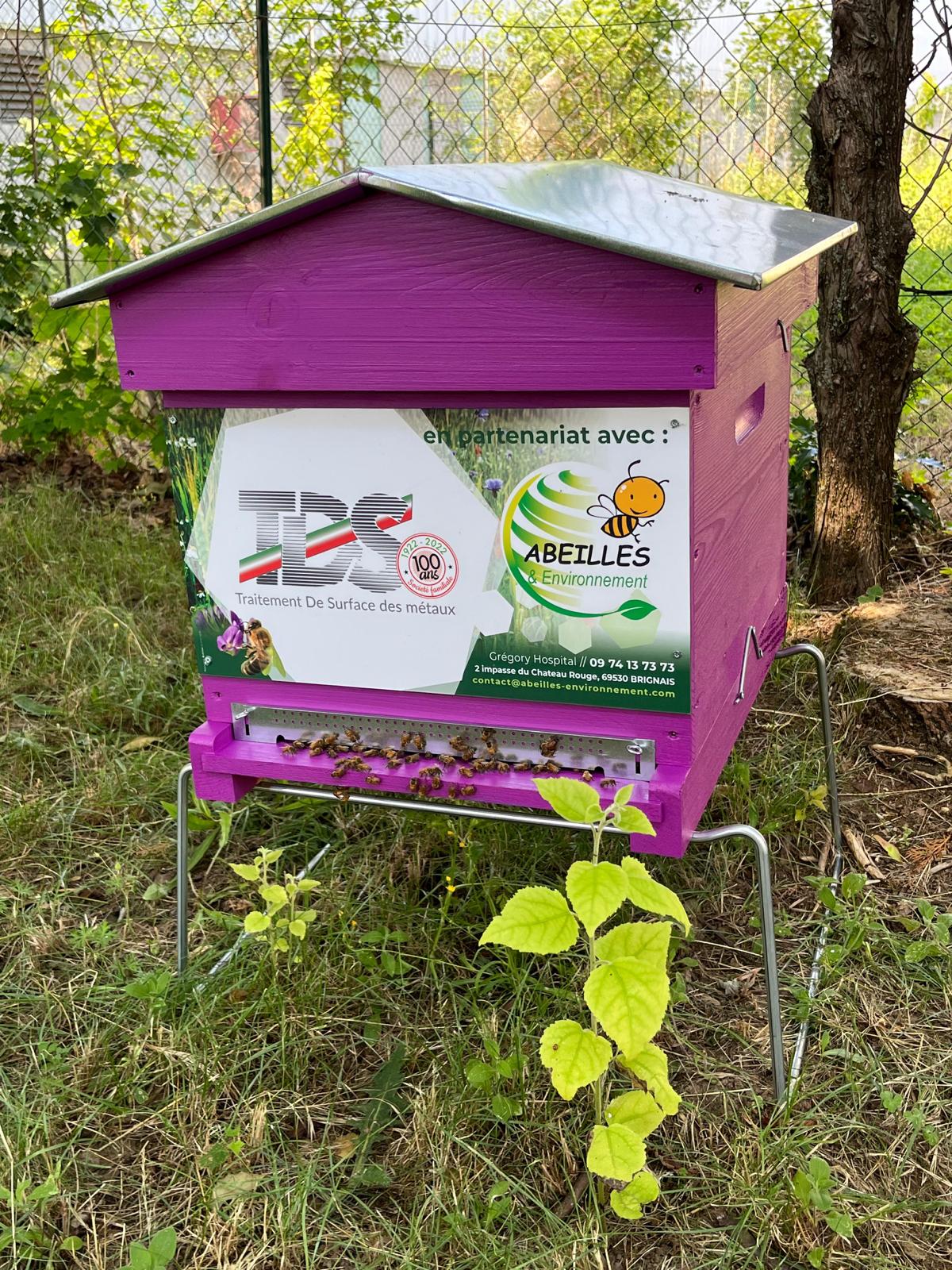 Abeilles 1-2023