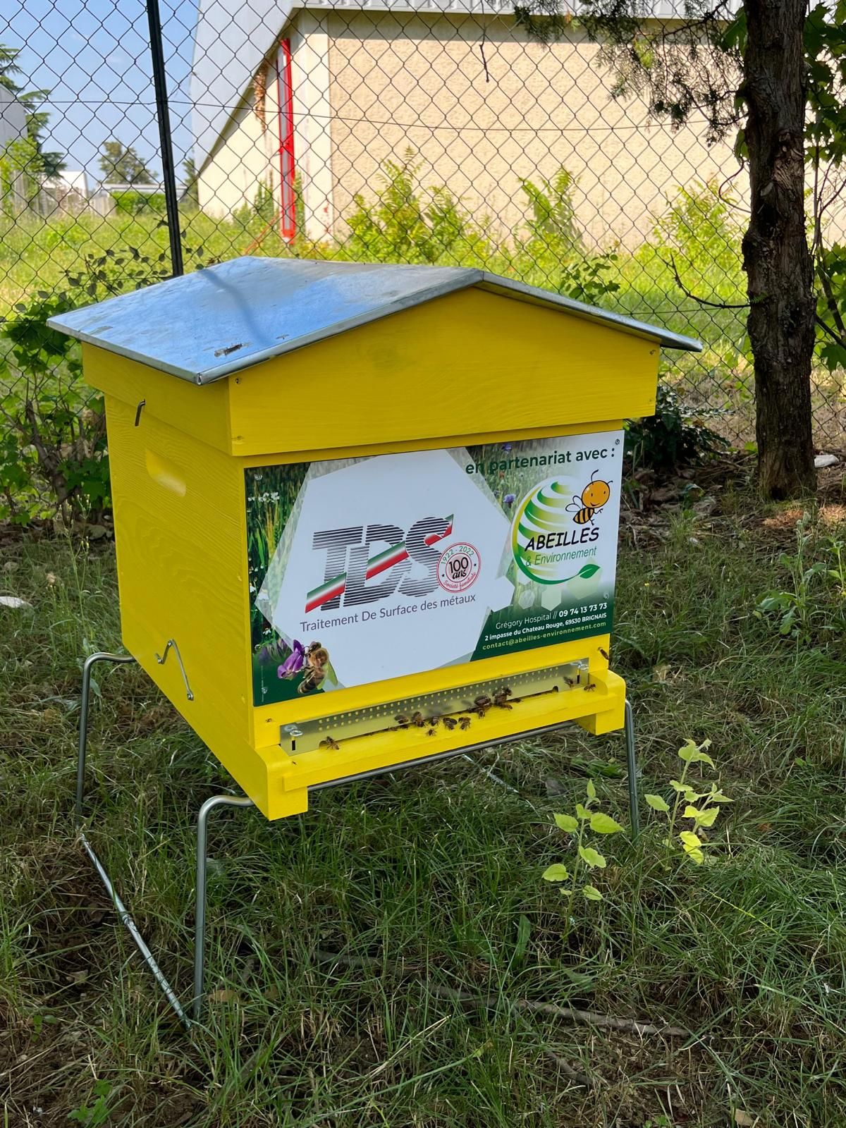 Abeilles 2-2023