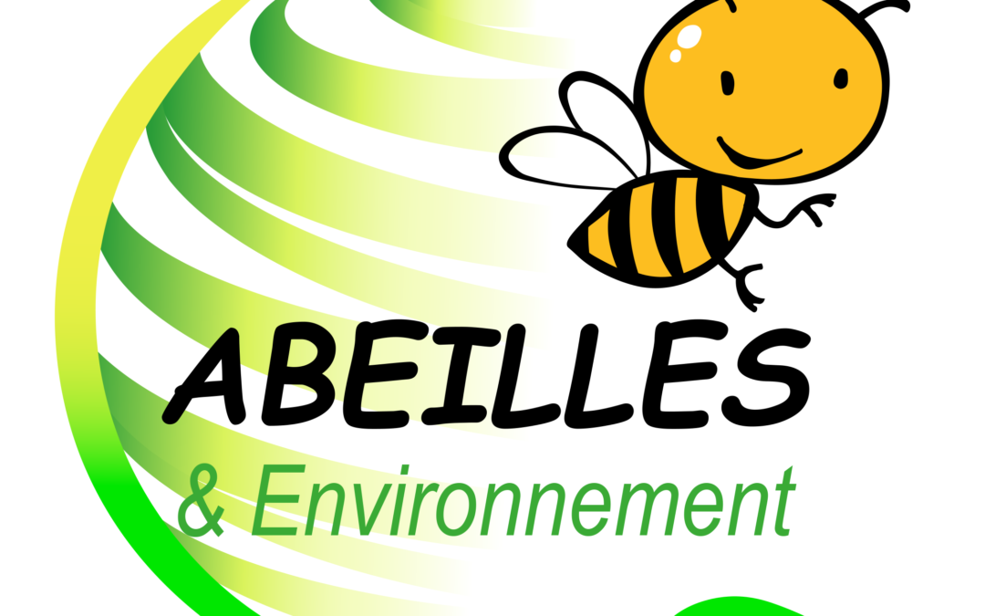 Les ABEILLES rejoignent L’Equipe TDS !