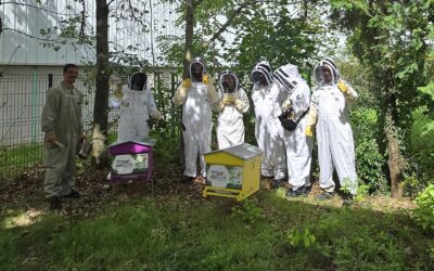 Abeilles et Environnement fait sa tournée chez TDS